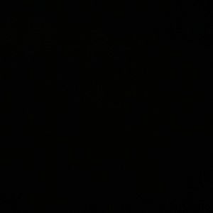 Meet your Posher, Taemarie